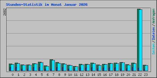 Stunden-Statistik im Monat Januar 2026
