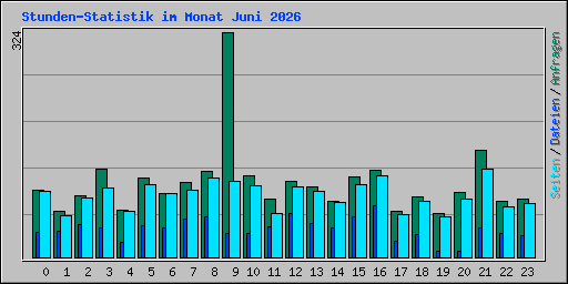 Stunden-Statistik im Monat Juni 2026